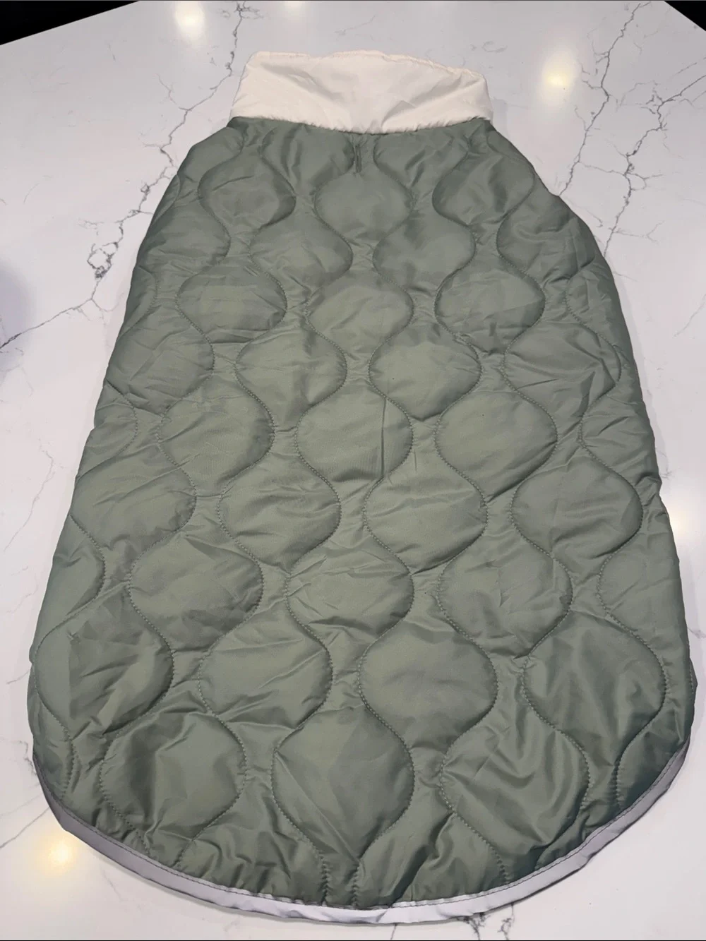 Quilted light Green dog coat 32degrees